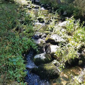 Meet your Posher, Rhonda